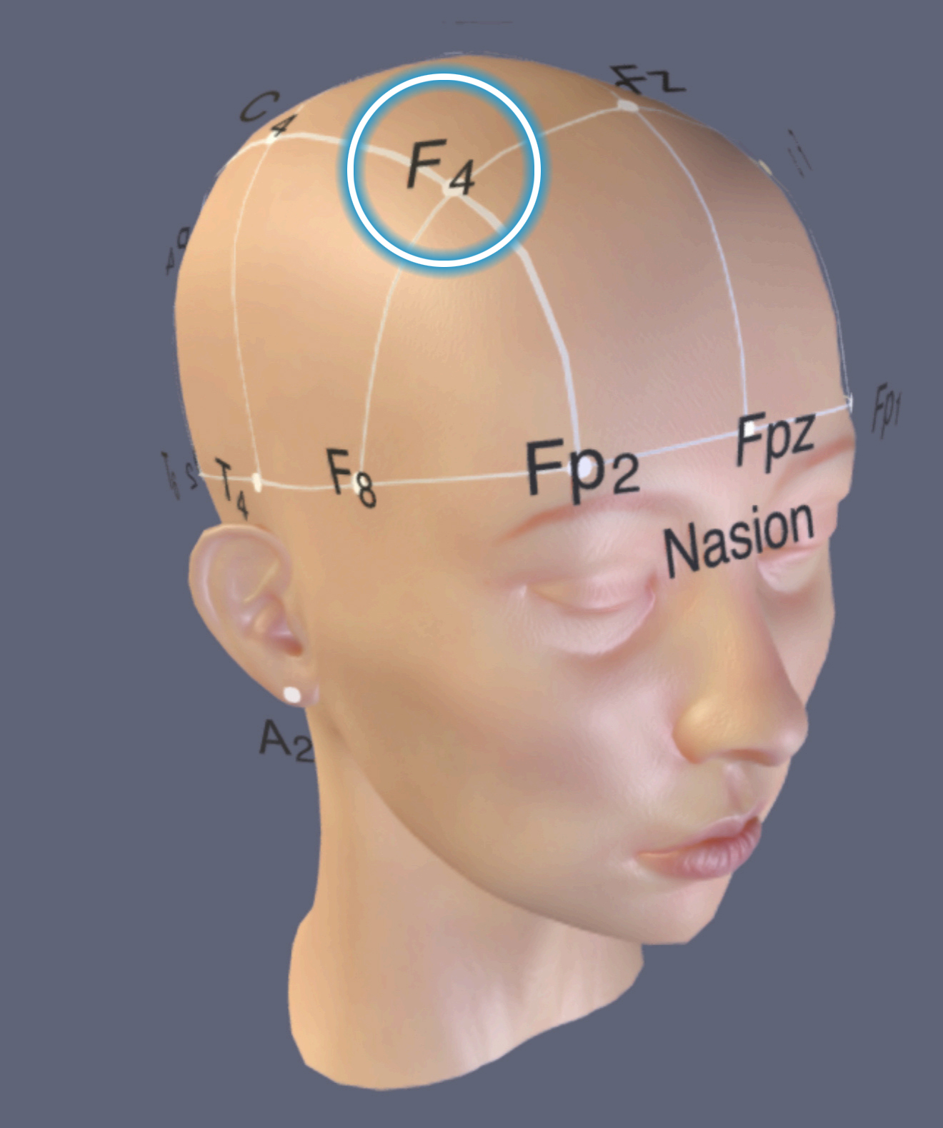 F4 Location