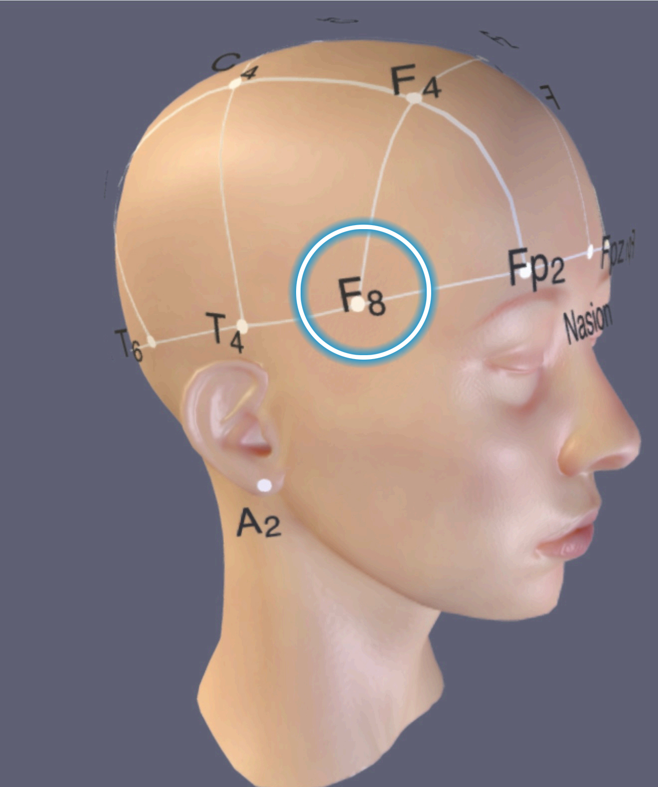 F8 Location