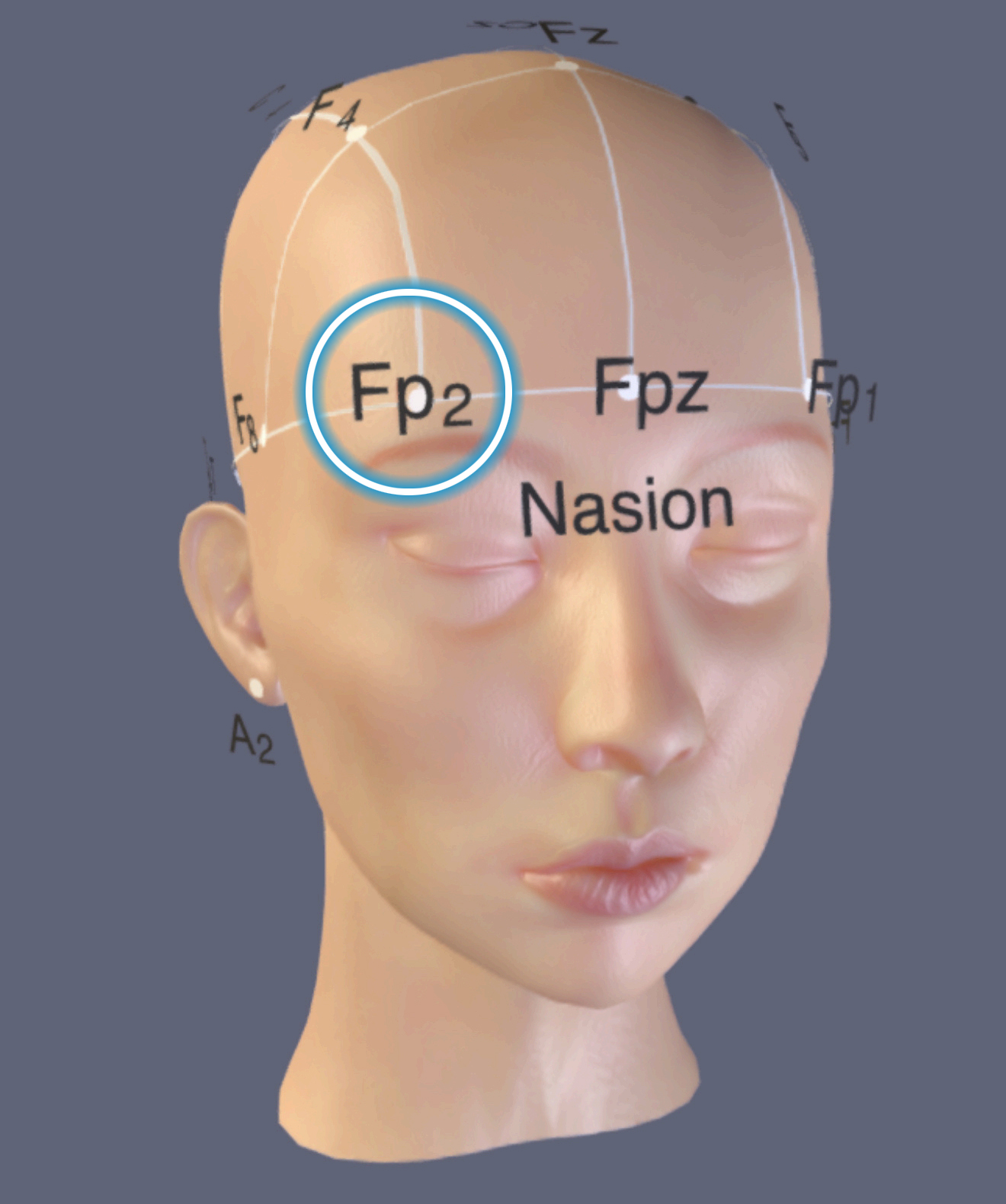 FP2 Location