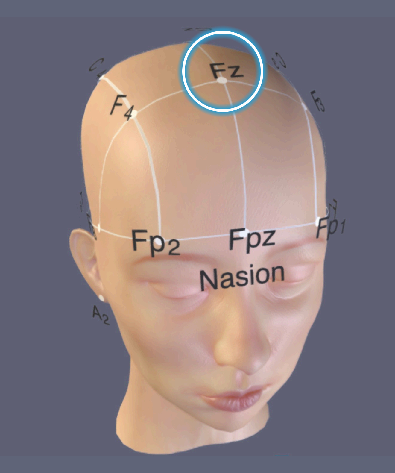 FZ Location
