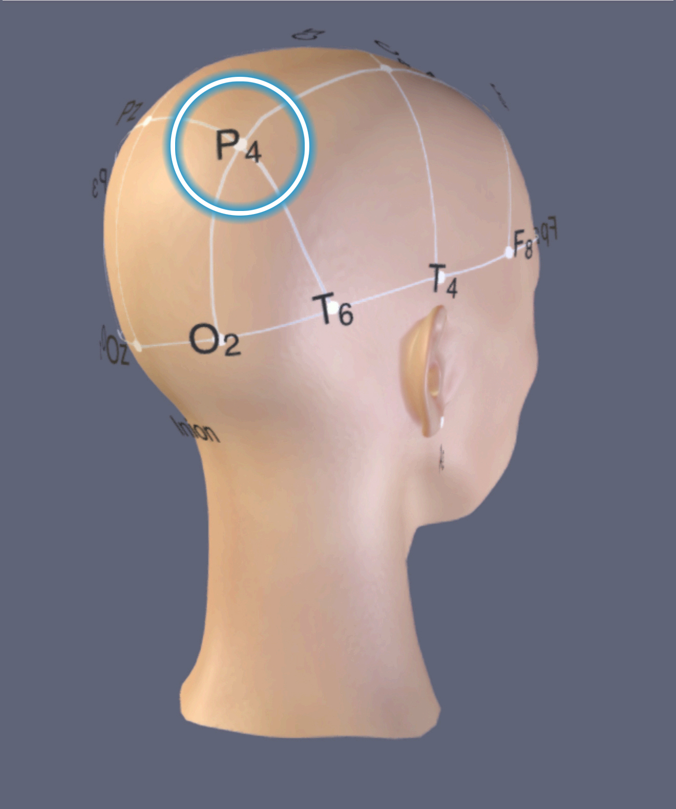 P4 Location