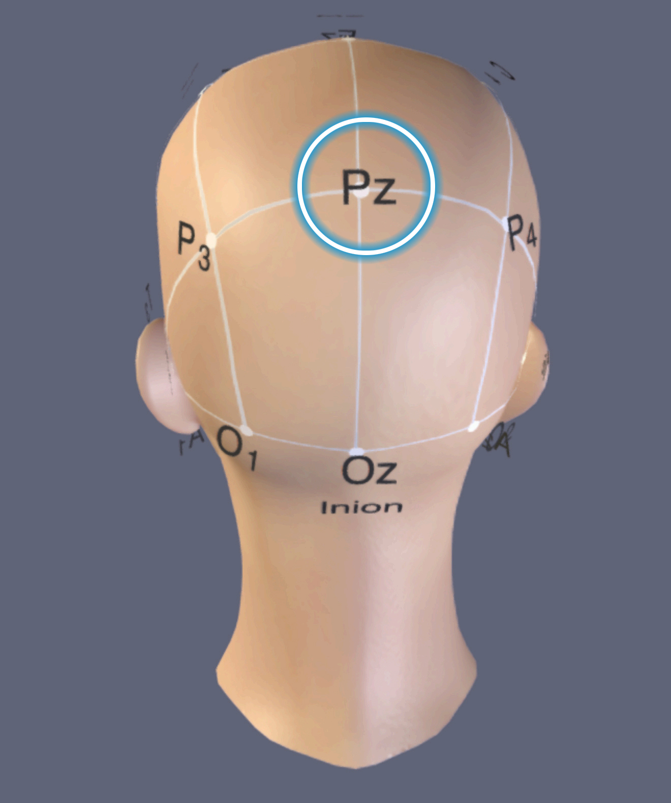 PZ Location
