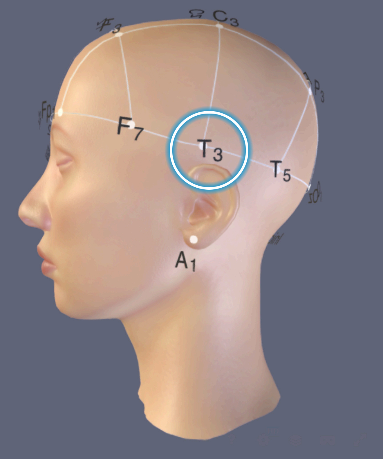 T3 Location