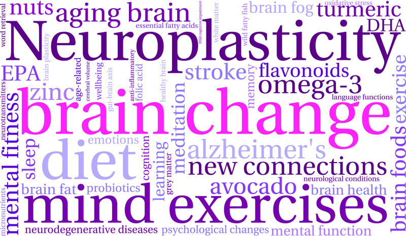 neuroplasticity brain change mind exercise clifton park new york