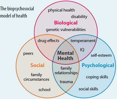 bio-psycho-social model of health capital district neurofeedback dr cale