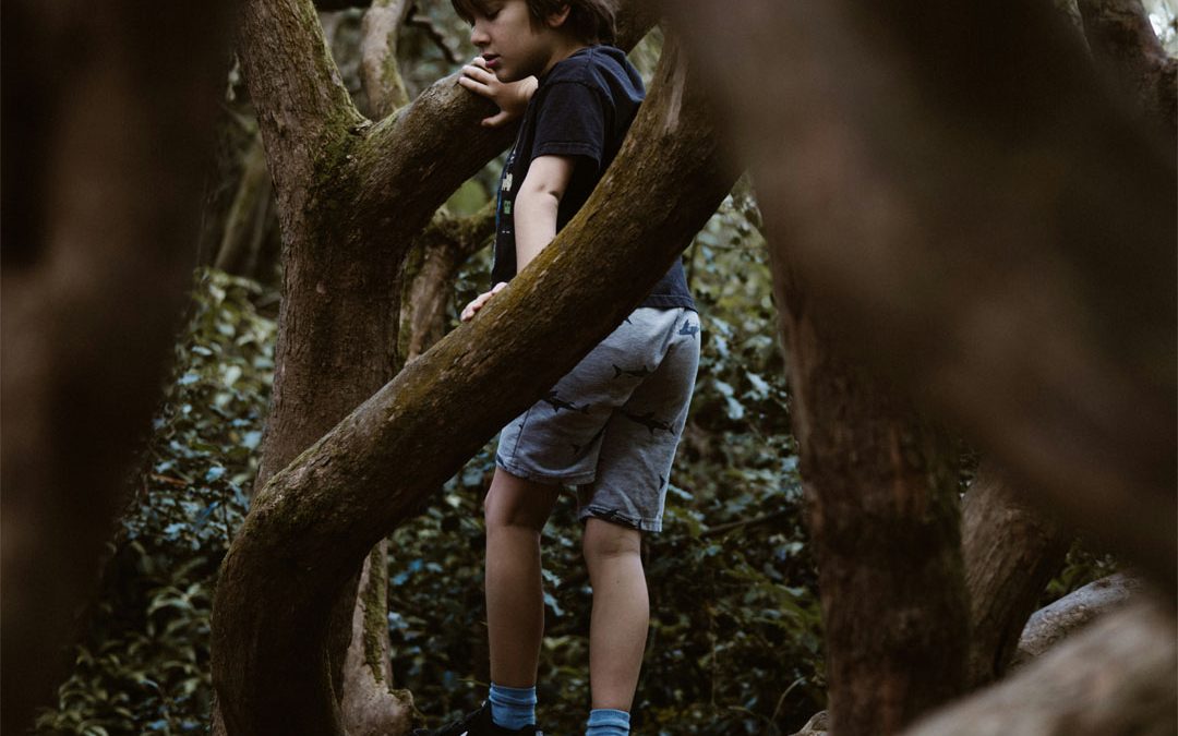kid-climbed-tree-by-annie-spratt-at-unsplash